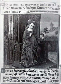 EMBARAZO: en la Edad Media