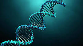 Timeline: Historia del ADN