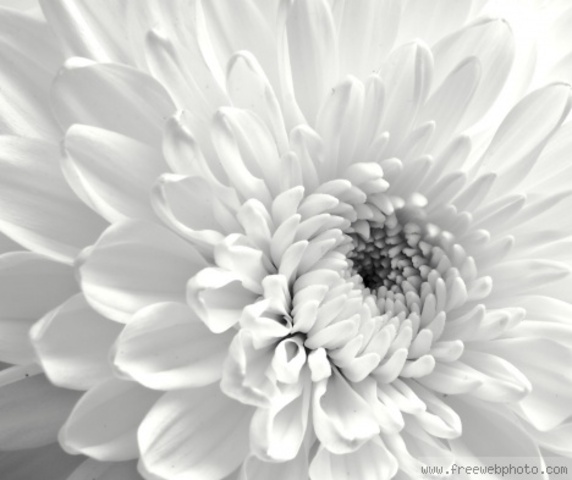 Breaking Down Barriers (1967)