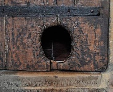 Puertas para mascotas