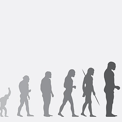 Timeline: Scientists and Their Contribution to the Study of Evolution
