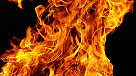 Timeline: L'historia de la humanitat.