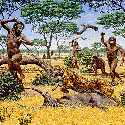 Timeline: EJE CRONOLÓGICO HOMÍNIDOS.