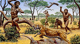 Timeline: EJE CRONOLÓGICO HOMÍNIDOS.