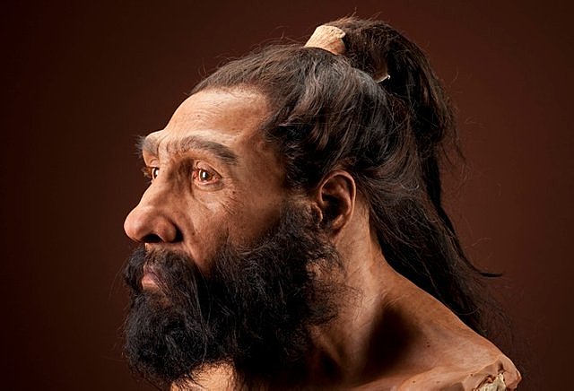 Homo Neanderthalensis