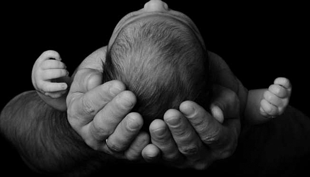 Presentació a l'Església Protestant