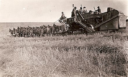 Hiran Moore inventa la cosechadora moderna