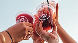 Timeline: Colcea Robert