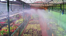 Timeline: Sistemas de riegos