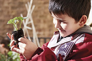 Primària a Barcelona