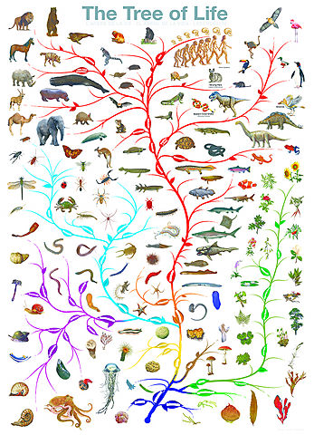 On the Origin of Species