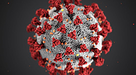 Timeline: Coronavirus