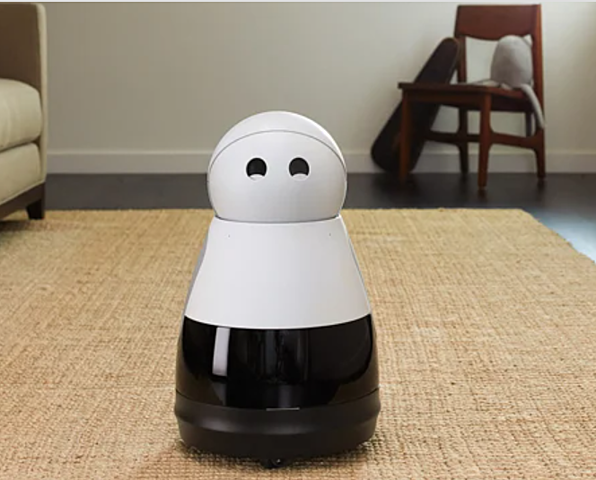 Kuri - a personal buddy