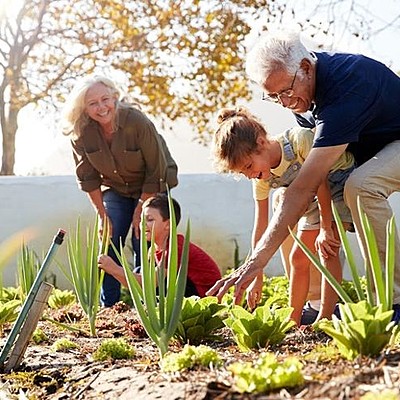 Timeline: Aujourd'hui, je vais rendre visite à mes grands-parents.