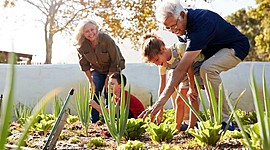 Timeline: Aujourd'hui, je vais rendre visite à mes grands-parents.