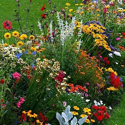 Timeline: Demain, j'aiderai ma grand-mère dans le jardin.