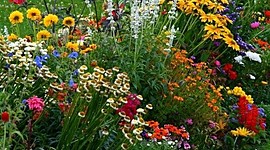 Timeline: Demain, j'aiderai ma grand-mère dans le jardin.