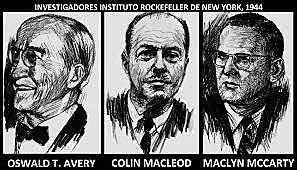Oswald Avery, Colin Macleod y Maclyn Mc Carty