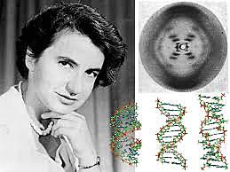 Rosalind Franklin