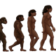 209px female human evolution 2