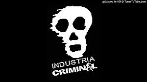Cuarta Ola-Industria Criminal