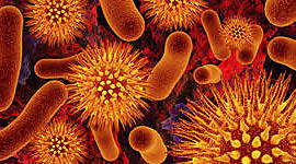 Timeline: Historia de los microorganismos