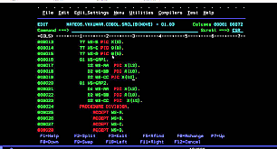El desarrollo de COBOL