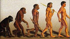 Timeline: HISTÒRIA DE LA HUMANITAT