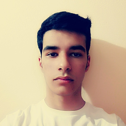 Homo sapiens sapiens