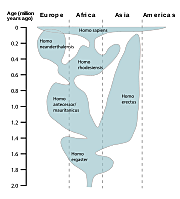 Poblamiento de Eurasia