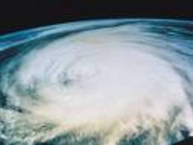 My family prepares for hurricane Ike