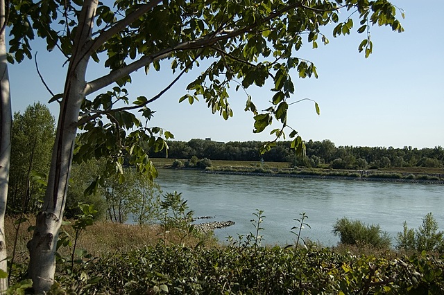 Garcilaso es desterrado a una isla del Danubio tras asistir a la boda secreta de un sobrino.