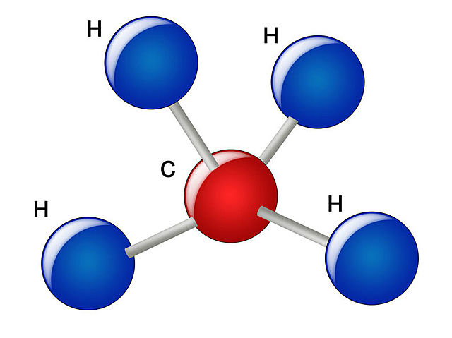 Bases orgánicas con nitrógeno