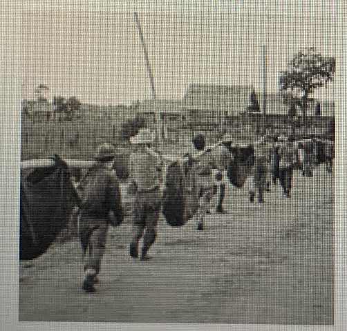 Bataan Death March