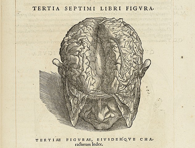 Monismo- Andres Vesalio (1511-1564)