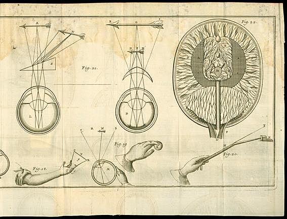 Dualismo-René Descartes