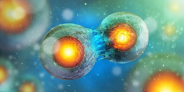 Louis Pasteur. siglo XIX