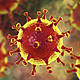 1140 corona virus image esp.imgcache.rev8d27c5f734653f4c44d2796922cf7794