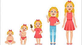 Timeline: Autobiografia de Amanda Romero 9-2