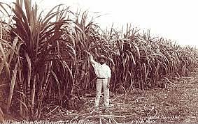 Llegada de Miguel Aleman Valdes