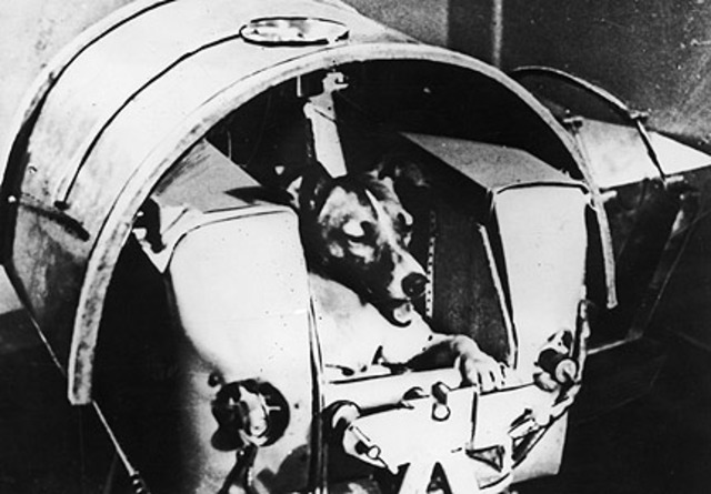 First "Earthling" in space