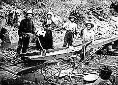 California Gold Rush