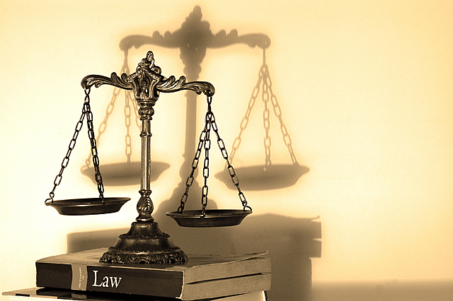 Bases constitucionales