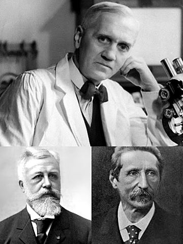 Fleming, Beneden y Strasburger