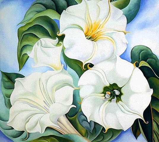 Jimson Weed - Georgia O'Keeffe 1936