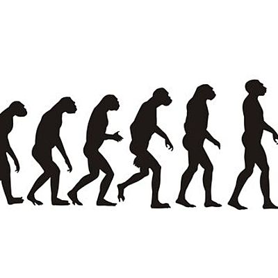 Timeline: Teorías de la evolución.