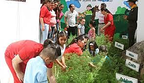 Nombramiento de Hogares Infantiles