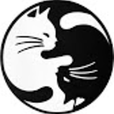 Timeline: Timeline Veronica´s life