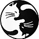Yin yang cat