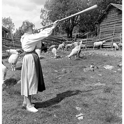 Timeline: Kommunikation